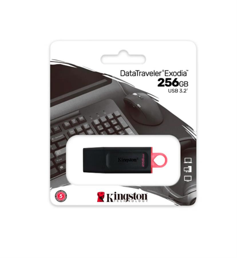 PENDRIVE 256GB  3.2 DTX